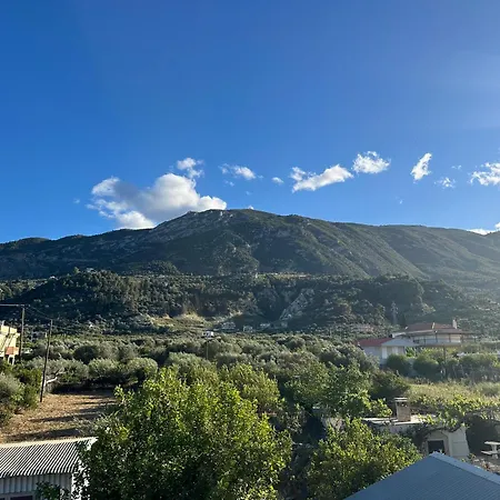 Seashell 西洛卡特伦